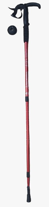 Hiking Stick