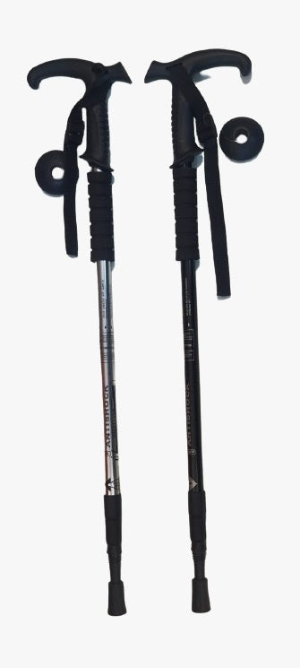 Hiking Stick
