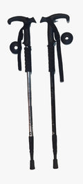 Hiking Stick