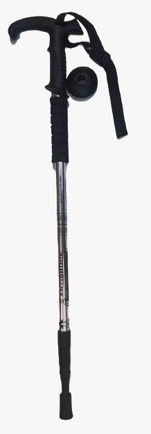Hiking Stick