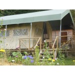 Cotton Tents